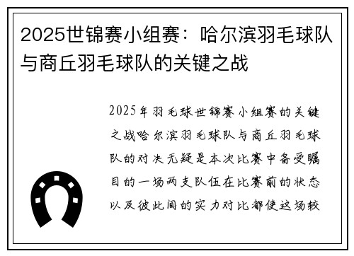 2025世锦赛小组赛：哈尔滨羽毛球队与商丘羽毛球队的关键之战