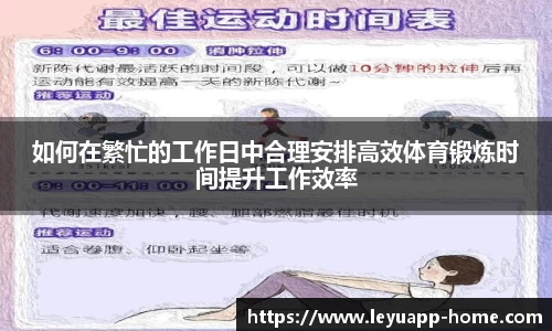 如何在繁忙的工作日中合理安排高效体育锻炼时间提升工作效率